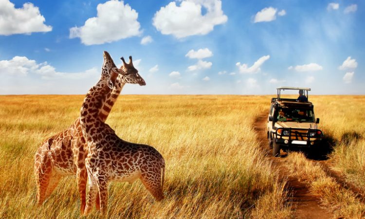 3 day safari in tarangire and Ngorongoro Crater