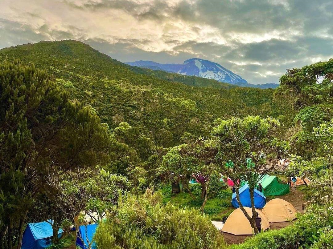 Kilimanjaro Day Hiking